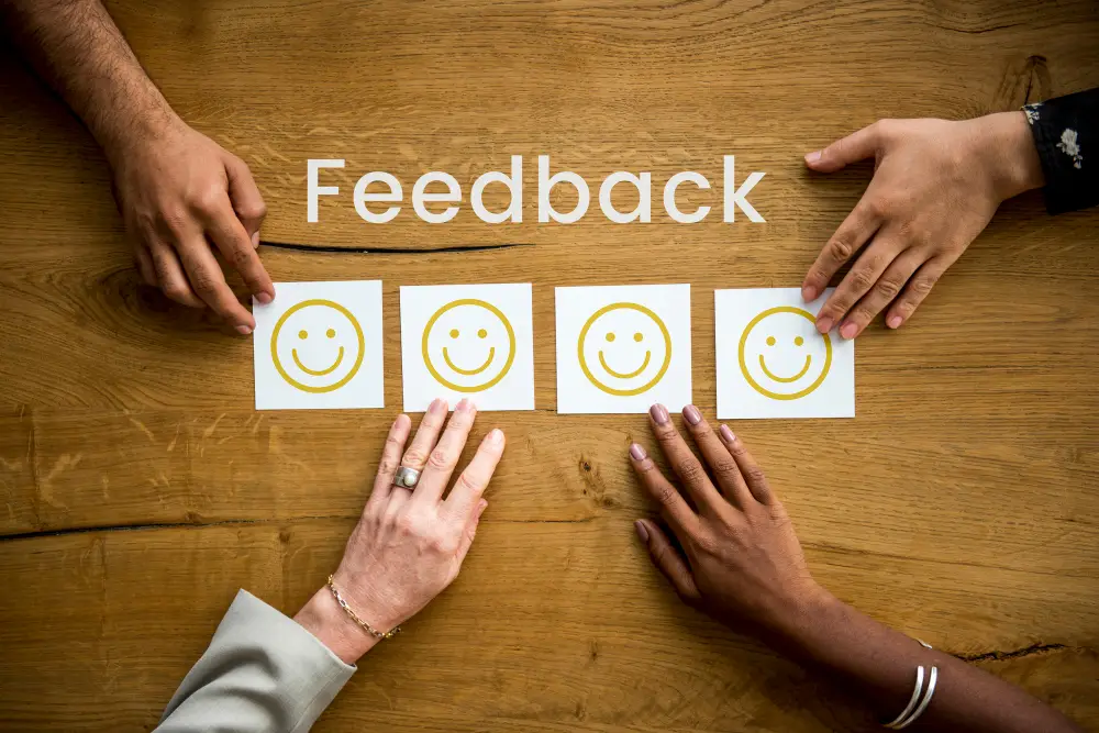 Feedback and Revisions