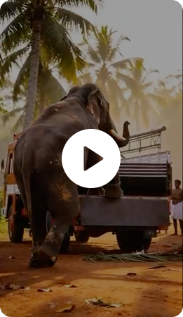 Client Work Showcase | AI-Powered Ad Video | Nilambur Furniture