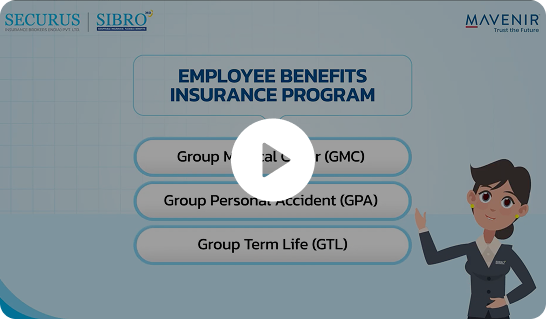 Secureus horizontal video ad